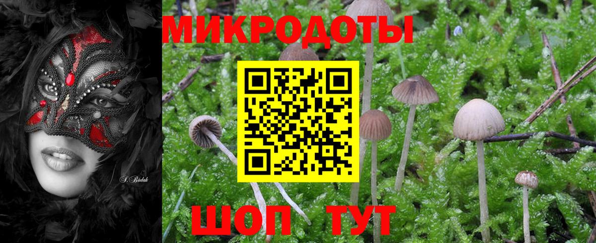 где найти наркотики  Галлюциногенные грибы Cubensis  Вход с VPN  Буйнакск 