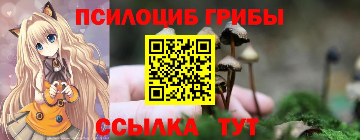 Галлюциногенные грибы Cubensis Буйнакск